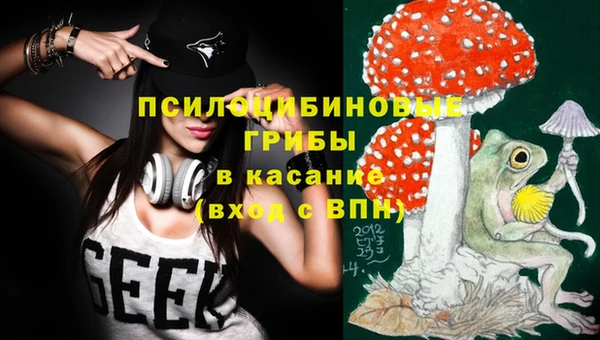 apvp Краснослободск