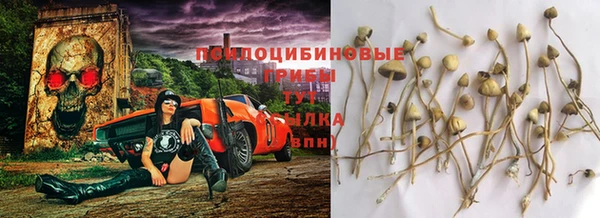 мяу мяу мука Кулебаки