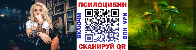 Купить  Вышний Волочёк  Псилоцибиновые грибы MAGIC MUSHROOMS 